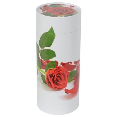 Urne carton Rose