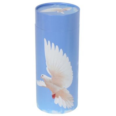 Urne carton colombe