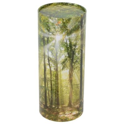 Urne carton sous bois