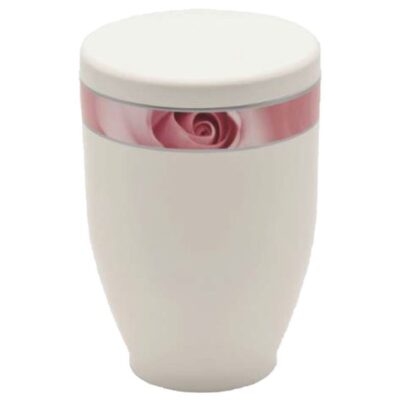 Urne Blanche Rose