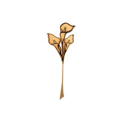 Arum Bois