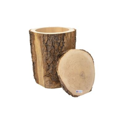 Urne Tronc bois brut
