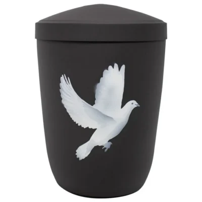 Urne noir mat colombe
