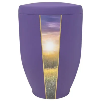 Urne violet coucher de soleil